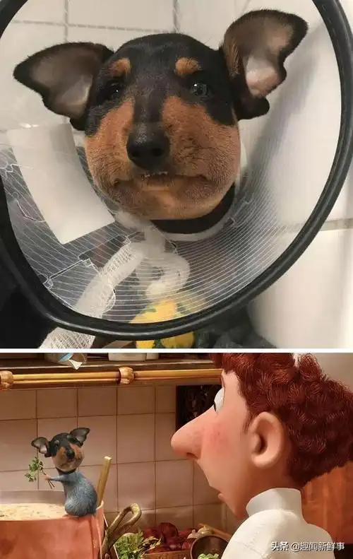 素材没有戴面具换脸的蝙蝠侠图生35.太阳能汽车36.