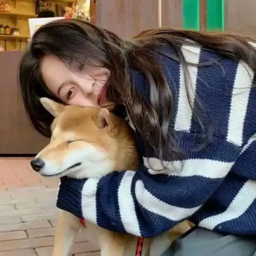 对象不是人系列情头