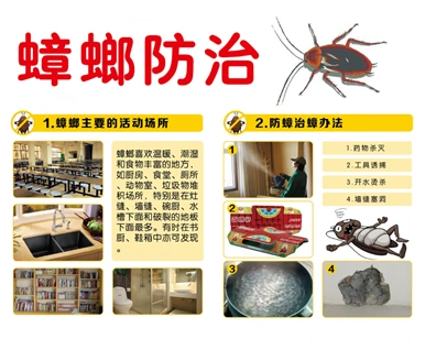 它们对人危害极大,不仅偷吃粮食,毁坏衣物,骚扰人们休息,而且更重要的