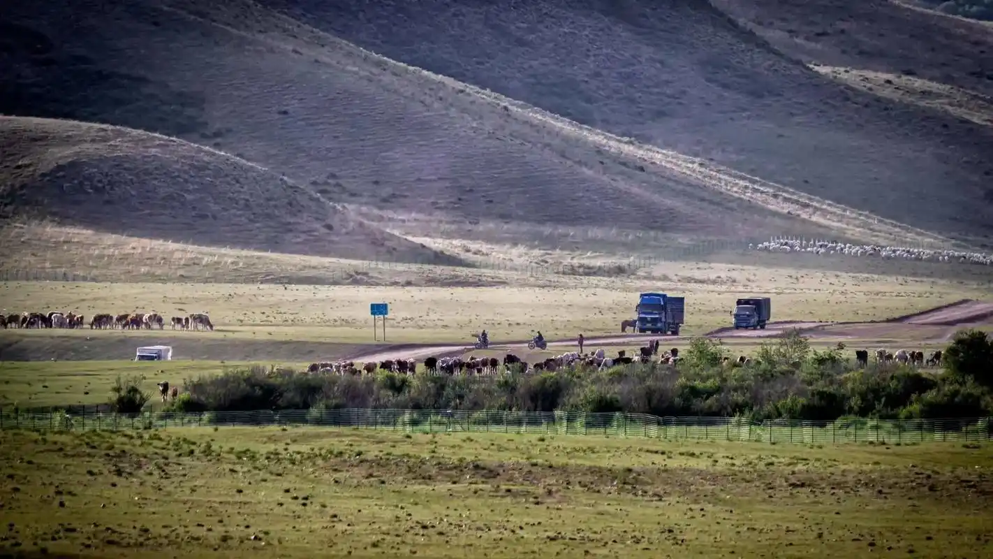 阿鲁科尔沁草原游牧系统核心区位于巴彦温都尔苏木,总面积500 - 抖音