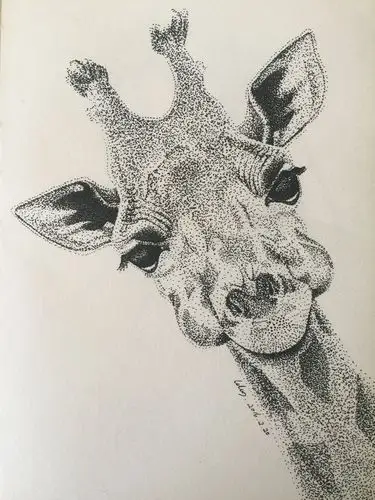 针管笔点画:长颈鹿|插画|创作习作|从心漫生活 - 原创作品 - 站酷