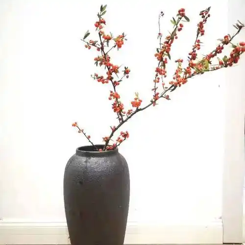 火棘果鲜切花水养室内家庭办公室插花年宵花云南昆明鲜花基地直发