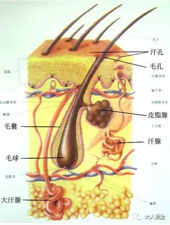 张予曦晒素颜秀了一把好皮肤,但眼尖的大人发现了一个问题.