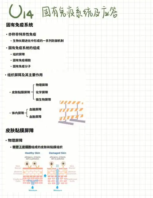 免疫学笔记u12免疫屏障模式识别受体