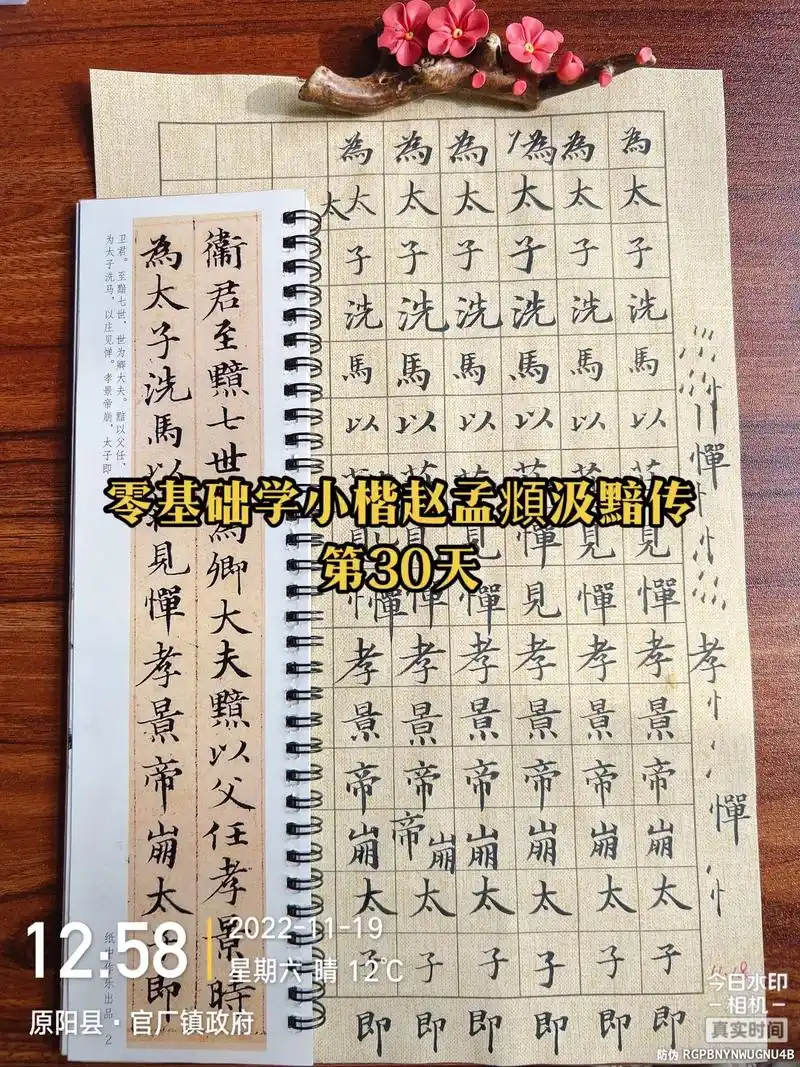 零基础学小楷赵孟頫汲黯传第30天.比前两天强了一点,也助长了 - 抖音