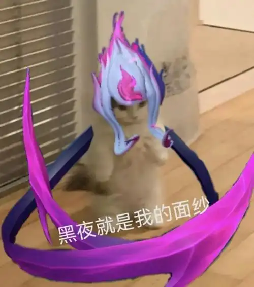 英雄联盟猫猫表情包第六期