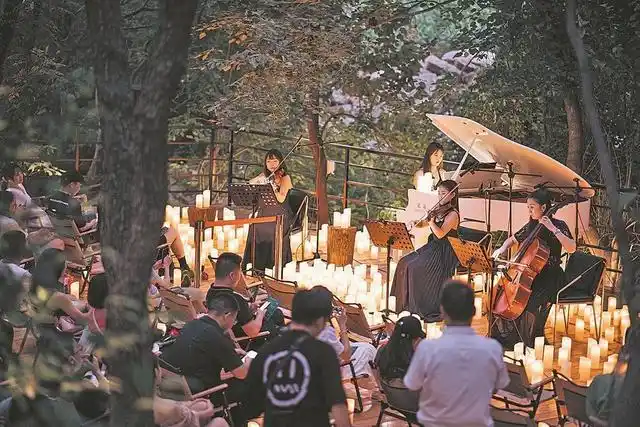 烛光森林音乐会在襄城举行