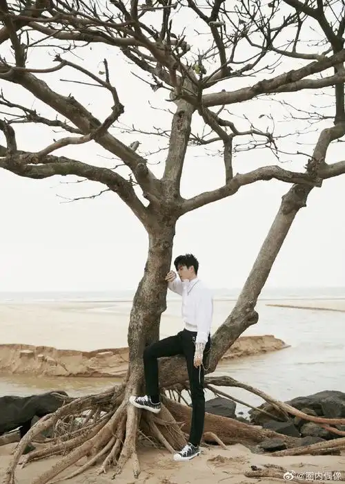 陈飞宇头发被海风吹乱了##陈飞宇绿野海岸跨年大片