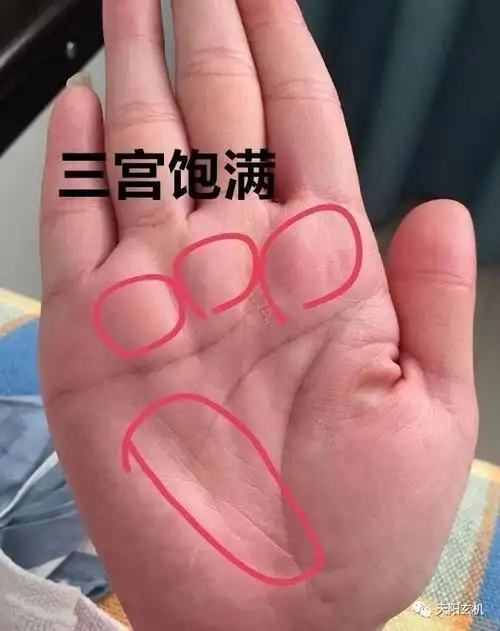 有这几种特征的手相,必赚得金屋银屋财满仓