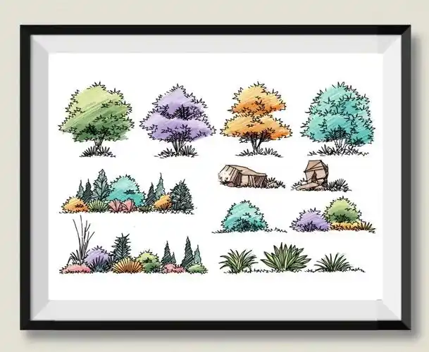 景观植物手绘分享