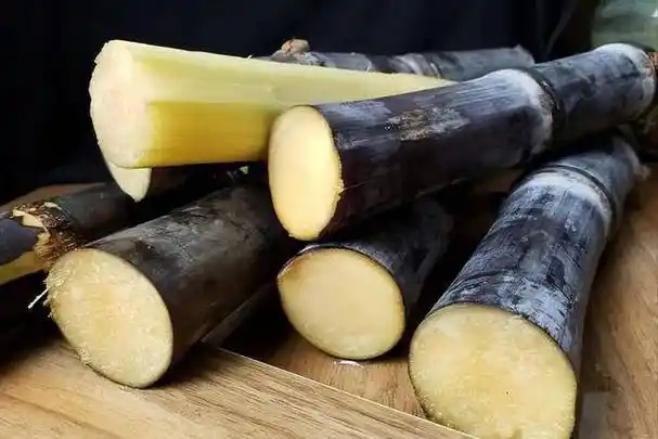 原创为什么说一根甘蔗五副药甘蔗有什么功效和禁忌一文讲清楚