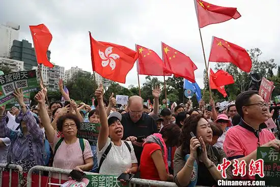 维护法治""我爱香港"字样的服饰,有人在身上或面部贴上国旗或区旗贴纸