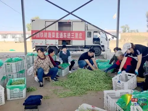 驻村书记李华一:三里庄村掀起一场红火的"蔬菜革命"