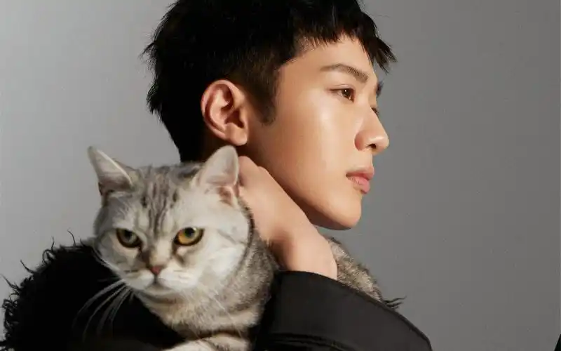 赖冠霖慵懒帅气写真图片桌面壁纸