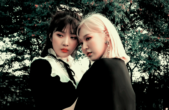 540_350gif 动态图 动图