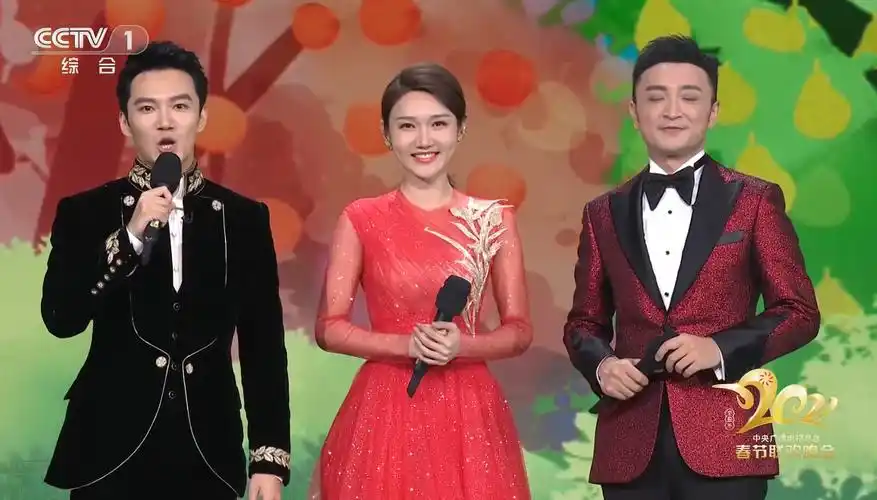 主持人|央视男主持人颜值担当:有人登上春晚,有人主持《新闻联播》