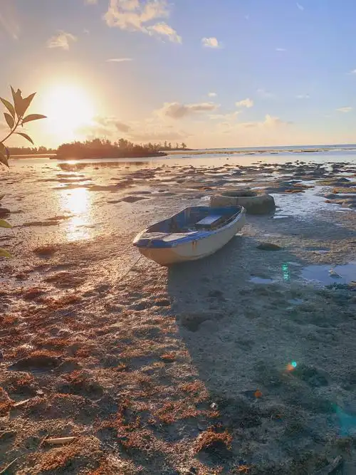 傍晚大海退潮时的景色
