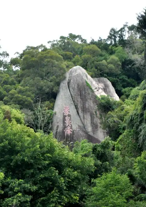 厦门万石山植物园——福建自由行之一