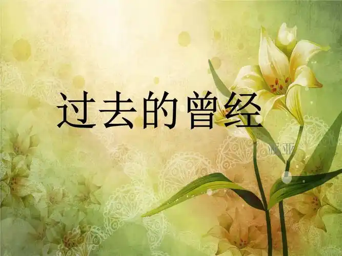 回忆过去的曾经.ppt 8页