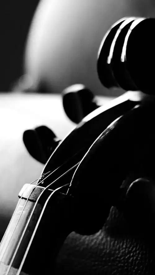 黑白美女壁纸图片