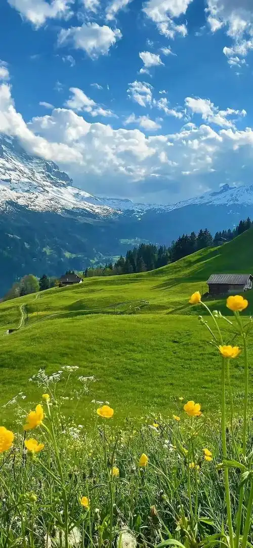 将其优美的景色融入我们的生活空间,让人们可以随时欣赏到大自然的