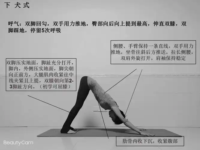 瑜伽拜日式图解