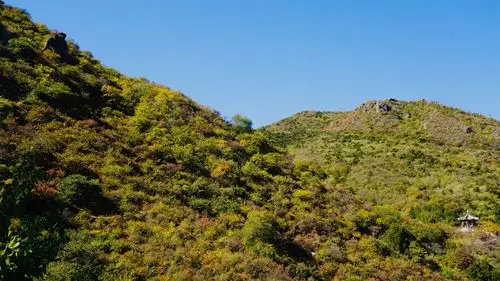 回望秋天美丽的景色～香山红叶之约