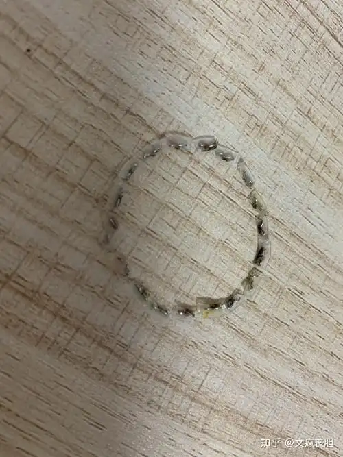 上图,18颗闪耀的切.