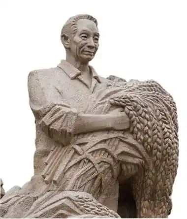 袁老,您的梦成真了_水稻_袁隆平_攻关