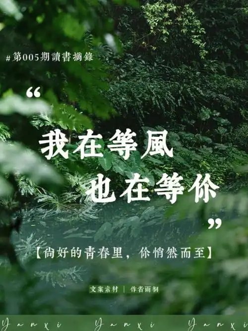 第005期我在等风也在等你