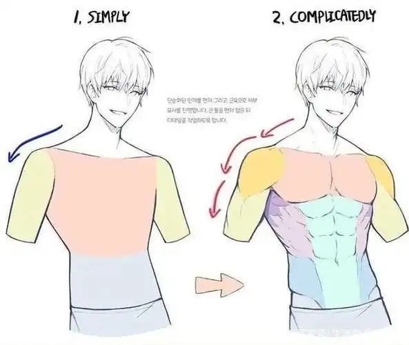 【绘画素材】肩膀怎么画?一组肩膀结构绘画解析,一起来学习!