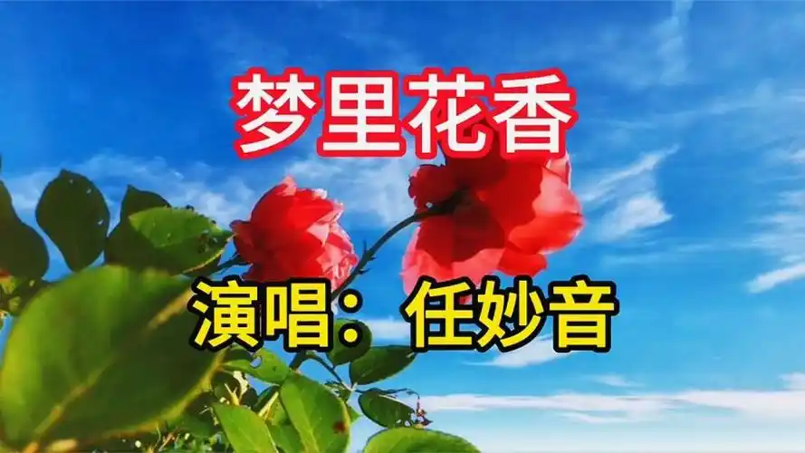 任妙音演唱《梦里花香》,清纯甜美的歌声,令人陶醉