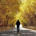 成熟成功男人背影头像图片