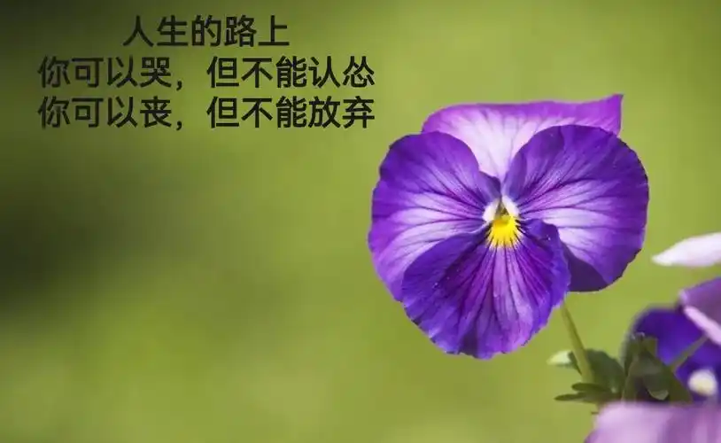 精辟有哲理的正能量人生语录!(句句在理适合发朋友圈)