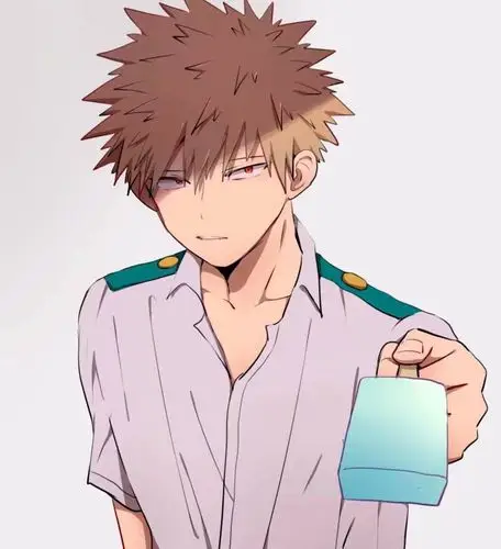 我的英雄学院爆豪胜己轰焦冻