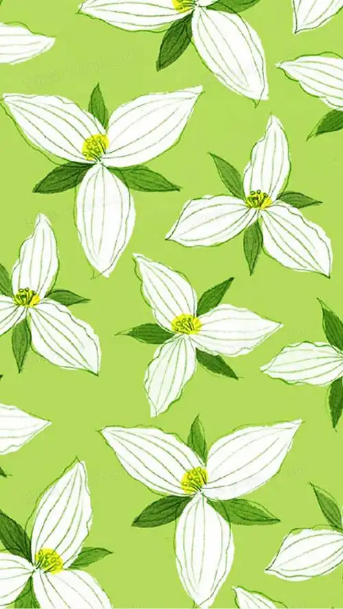 手绘白朵绿叶壁纸