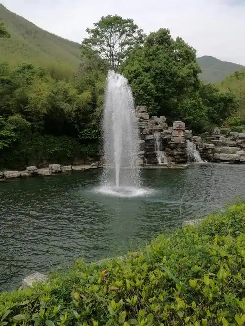 打卡——无锡宜兴竹海