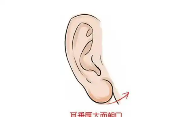 耳朵决定你运势,最有福相的耳朵,一看就是当官的料,有钱的样!
