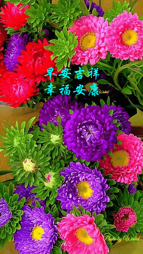 564_1003竖版 竖屏gif 动态图 动图