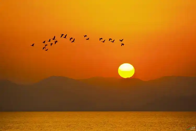 读《青山依旧在,几度夕阳红》有感