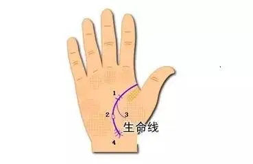 【手相】生命线短是不是寿命就短?别被骗了_一个人
