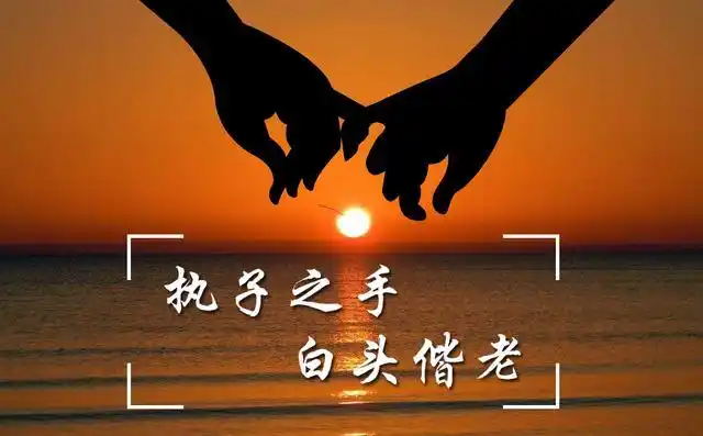 执子之手,与子偕老