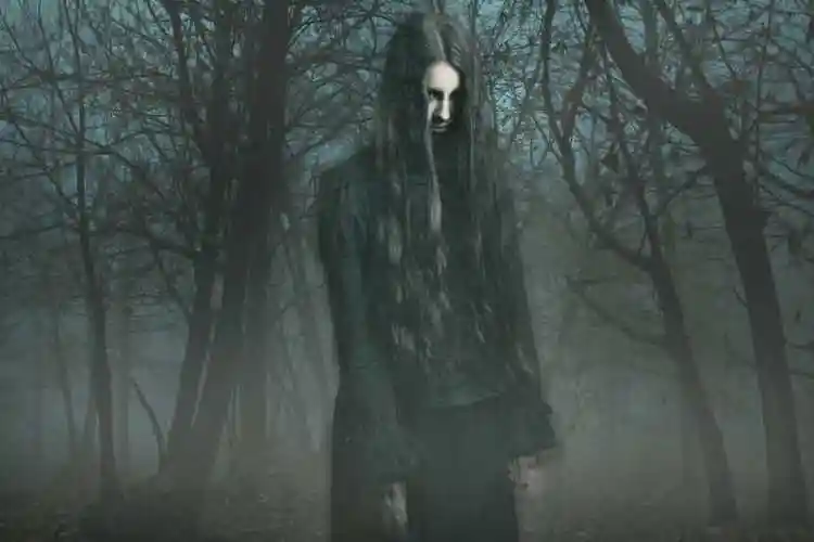 古老树木下的恐怖幽灵