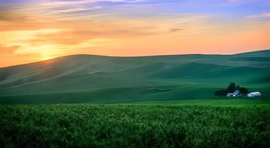 大自然森林风景高清桌面壁纸高清大图预览1920x1080_风景壁纸下载_美