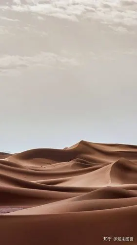 2021家居设计色彩趋势——大地色系 - 知乎