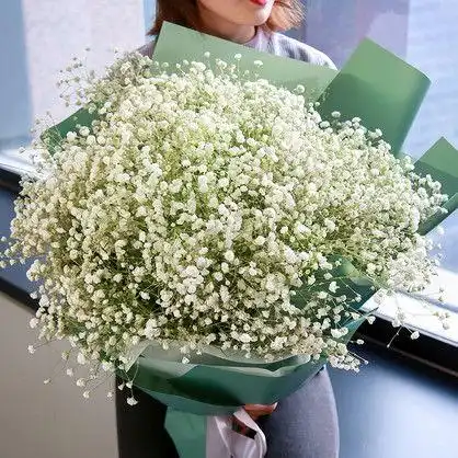 满天星代表什么意思