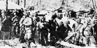 她发现抗联队伍的意图是往西边的密林撤退,一旦撤进了林子,敌人大部队