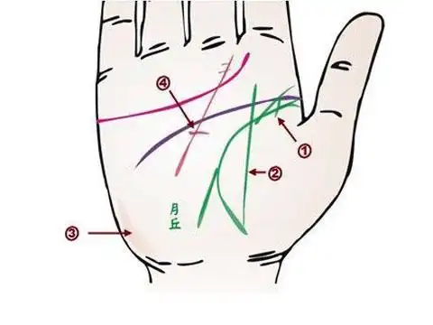 生命线分叉代表什么