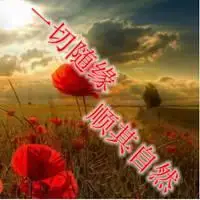 一切随缘,顺其自然