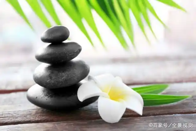 宁静做自我,淡定走人生